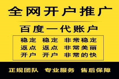 某品牌通过百度竞价提升线上销售业绩的案例